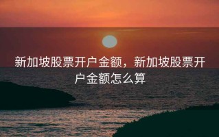 新加坡股票开户金额，新加坡股票开户金额怎么算