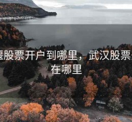 十堰股票开户到哪里，武汉股票开户在哪里