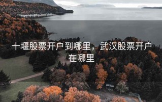 十堰股票开户到哪里，武汉股票开户在哪里