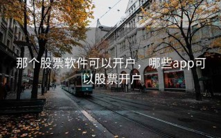 那个股票软件可以开户，哪些app可以股票开户