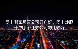网上哪家股票公司开户好，网上炒股开户哪个证券公司的比较好