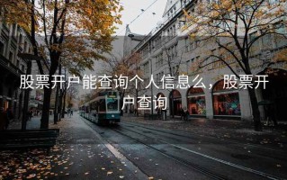 股票开户能查询个人信息么，股票开户查询