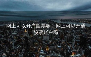 网上可以开户股票嘛，网上可以开通股票账户吗