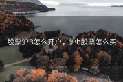 股票沪B怎么开户，沪b股票怎么买