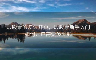 炒股票的怎么开户，炒股票新手入门如何开户需要多少钱