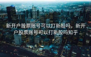 新开户股票账号可以打新股吗，新开户股票账号可以打新股吗知乎