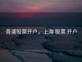 青浦股票开户，上海 股票 开户