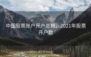 中国股票账户开户总数，2021年股票开户数
