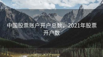 中国股票账户开户总数，2021年股票开户数