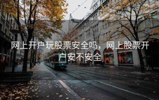 网上开户玩股票安全吗，网上股票开户安不安全