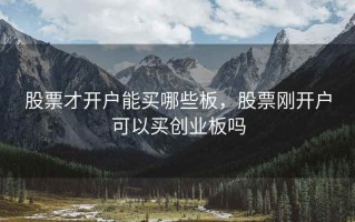 股票才开户能买哪些板，股票刚开户可以买创业板吗