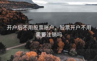 开户后不用股票账户，股票开户不用需要注销吗
