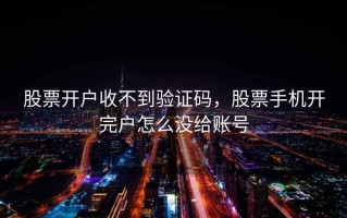 股票开户收不到验证码，股票手机开完户怎么没给账号