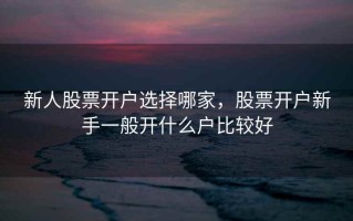 新人股票开户选择哪家，股票开户新手一般开什么户比较好