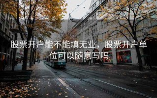 股票开户能不能填无业，股票开户单位可以随意写吗