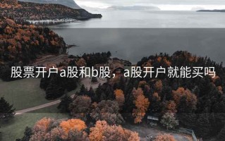 股票开户a股和b股，a股开户就能买吗