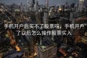 手机开户后买不了股票吗，手机开户了以后怎么操作股票买入