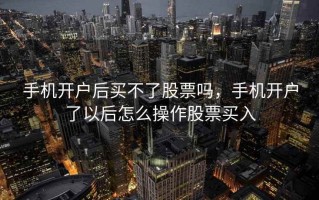 手机开户后买不了股票吗，手机开户了以后怎么操作股票买入