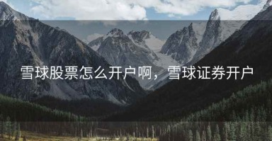 雪球股票怎么开户啊，雪球证券开户