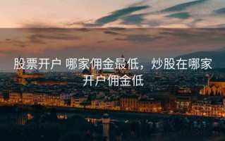 股票开户 哪家佣金最低，炒股在哪家开户佣金低