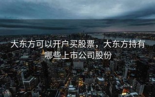大东方可以开户买股票，大东方持有哪些上市公司股份