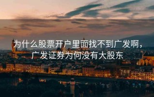 为什么股票开户里面找不到广发啊，广发证券为何没有大股东