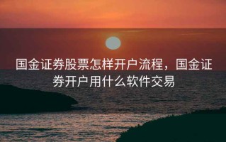 国金证券股票怎样开户流程，国金证券开户用什么软件交易