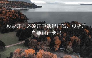 股票开户必须开电话银行吗，股票开户要银行卡吗