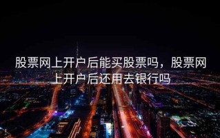 股票网上开户后能买股票吗，股票网上开户后还用去银行吗