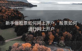 新手做股票如何网上开户，股票如何进行网上开户