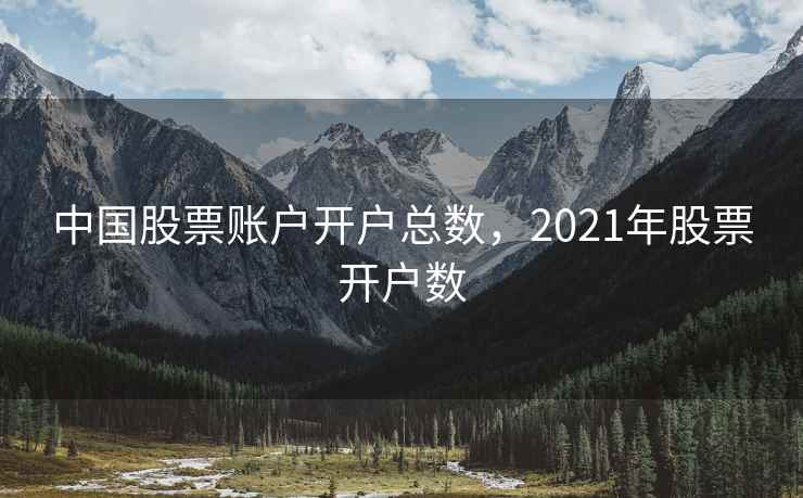 中国股票账户开户总数，2021年股票开户数