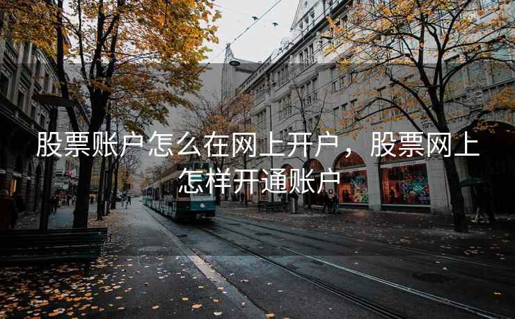 股票账户怎么在网上开户，股票网上怎样开通账户