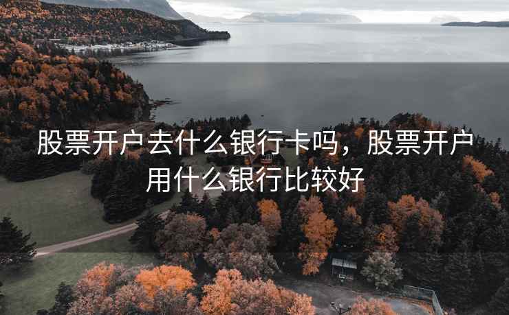 股票开户去什么银行卡吗，股票开户用什么银行比较好