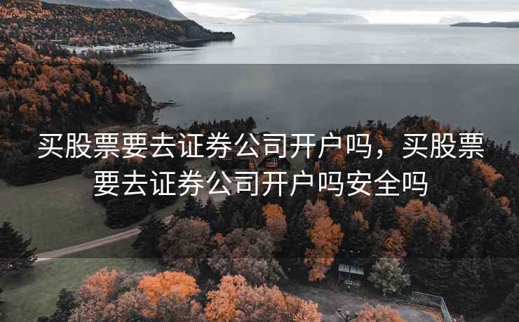 买股票要去证券公司开户吗，买股票要去证券公司开户吗安全吗
