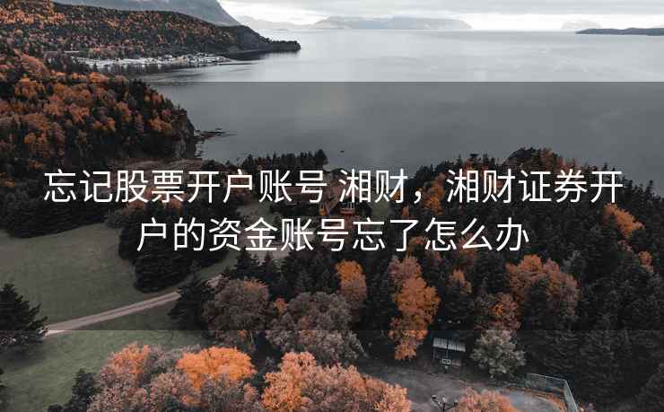 忘记股票开户账号 湘财，湘财证券开户的资金账号忘了怎么办