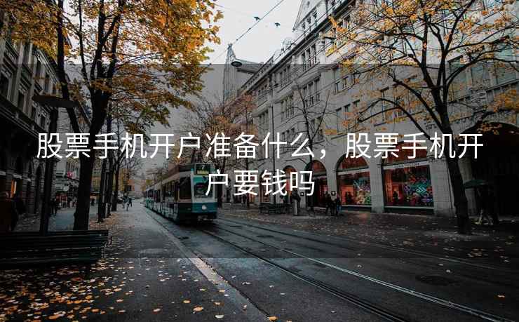 股票手机开户准备什么，股票手机开户要钱吗