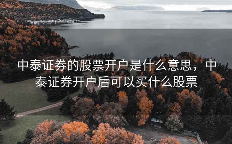 中泰证券的股票开户是什么意思，中泰证券开户后可以买什么股票