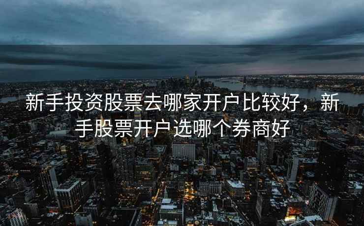新手投资股票去哪家开户比较好，新手股票开户选哪个券商好