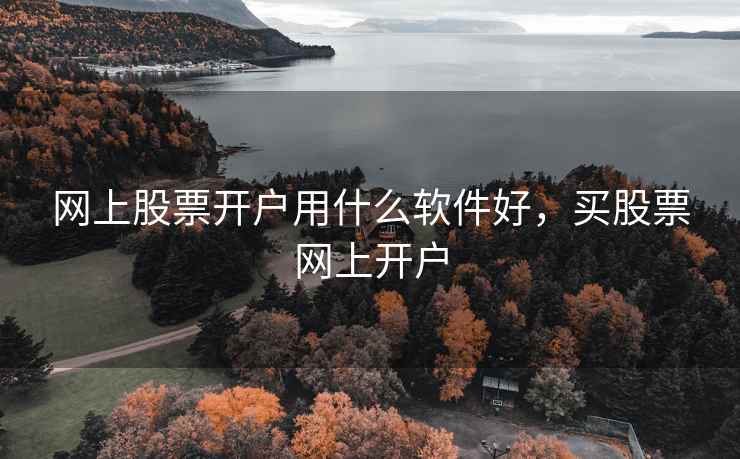 网上股票开户用什么软件好，买股票网上开户