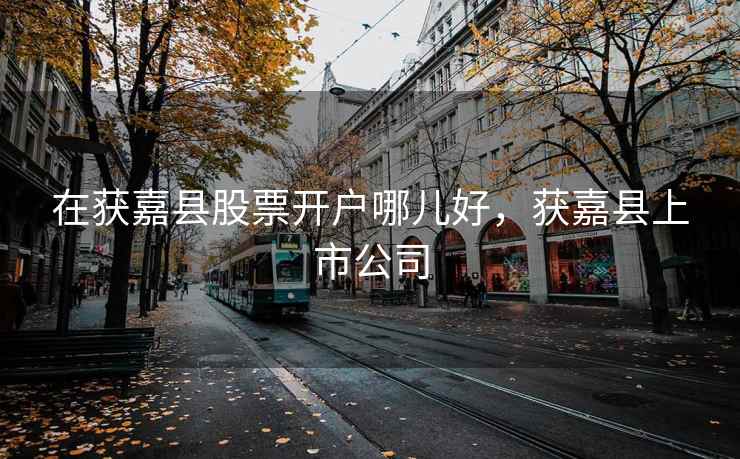 在获嘉县股票开户哪儿好，获嘉县上市公司