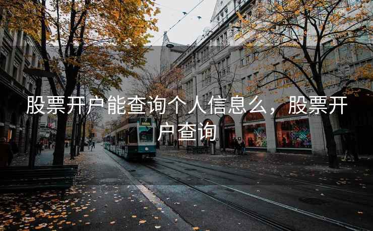 股票开户能查询个人信息么，股票开户查询