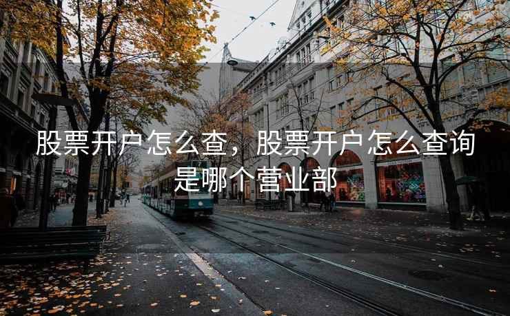 股票开户怎么查，股票开户怎么查询是哪个营业部