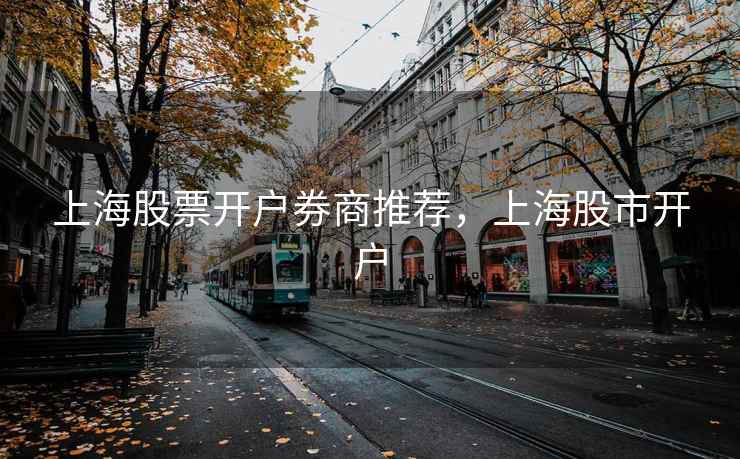 上海股票开户券商推荐，上海股市开户