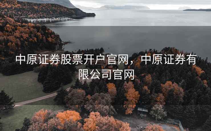 中原证券股票开户官网，中原证券有限公司官网