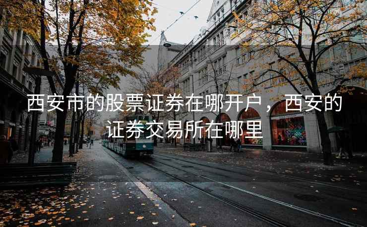 西安市的股票证券在哪开户，西安的证券交易所在哪里