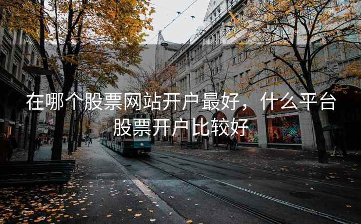在哪个股票网站开户最好，什么平台股票开户比较好