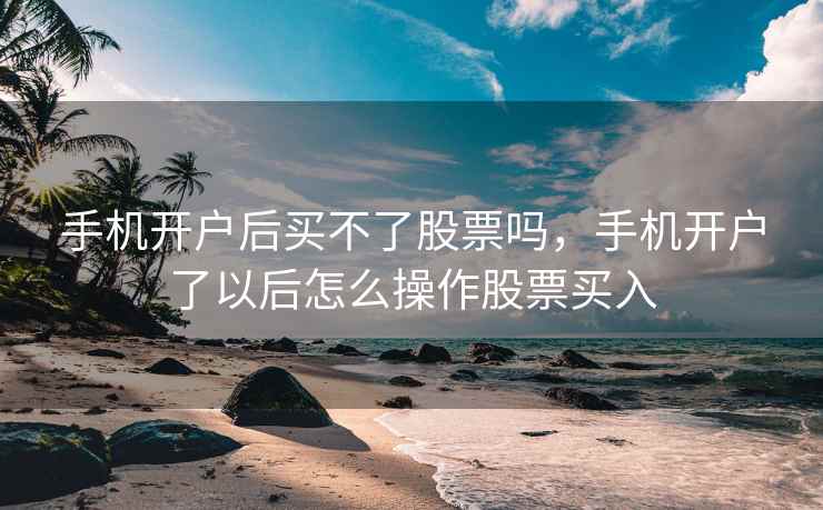 手机开户后买不了股票吗，手机开户了以后怎么操作股票买入