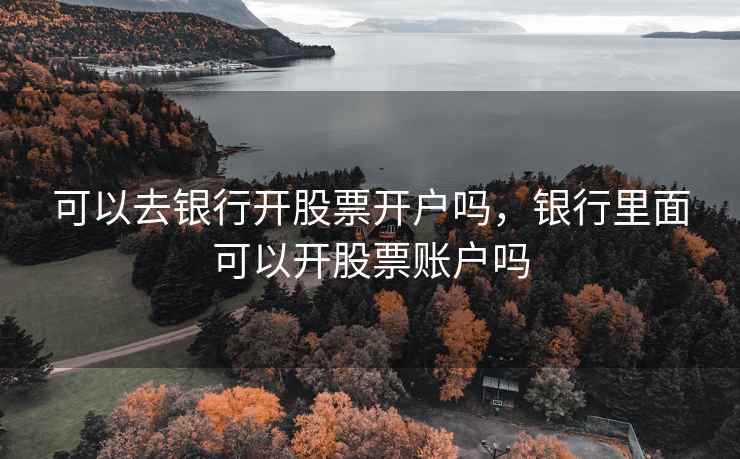 可以去银行开股票开户吗，银行里面可以开股票账户吗
