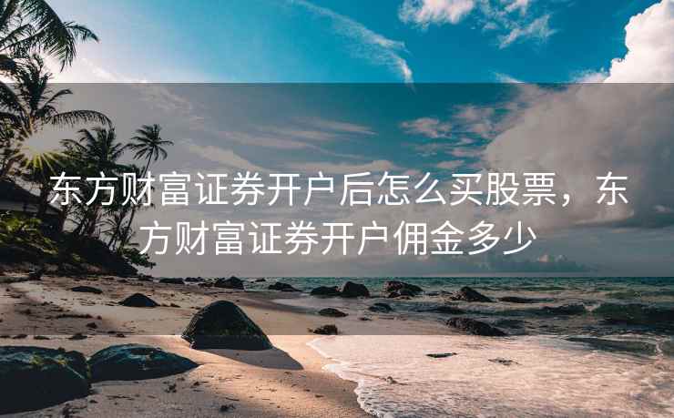 东方财富证券开户后怎么买股票，东方财富证券开户佣金多少
