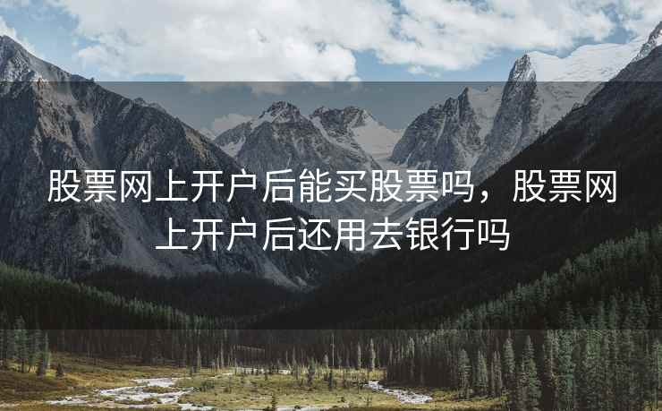 股票网上开户后能买股票吗，股票网上开户后还用去银行吗